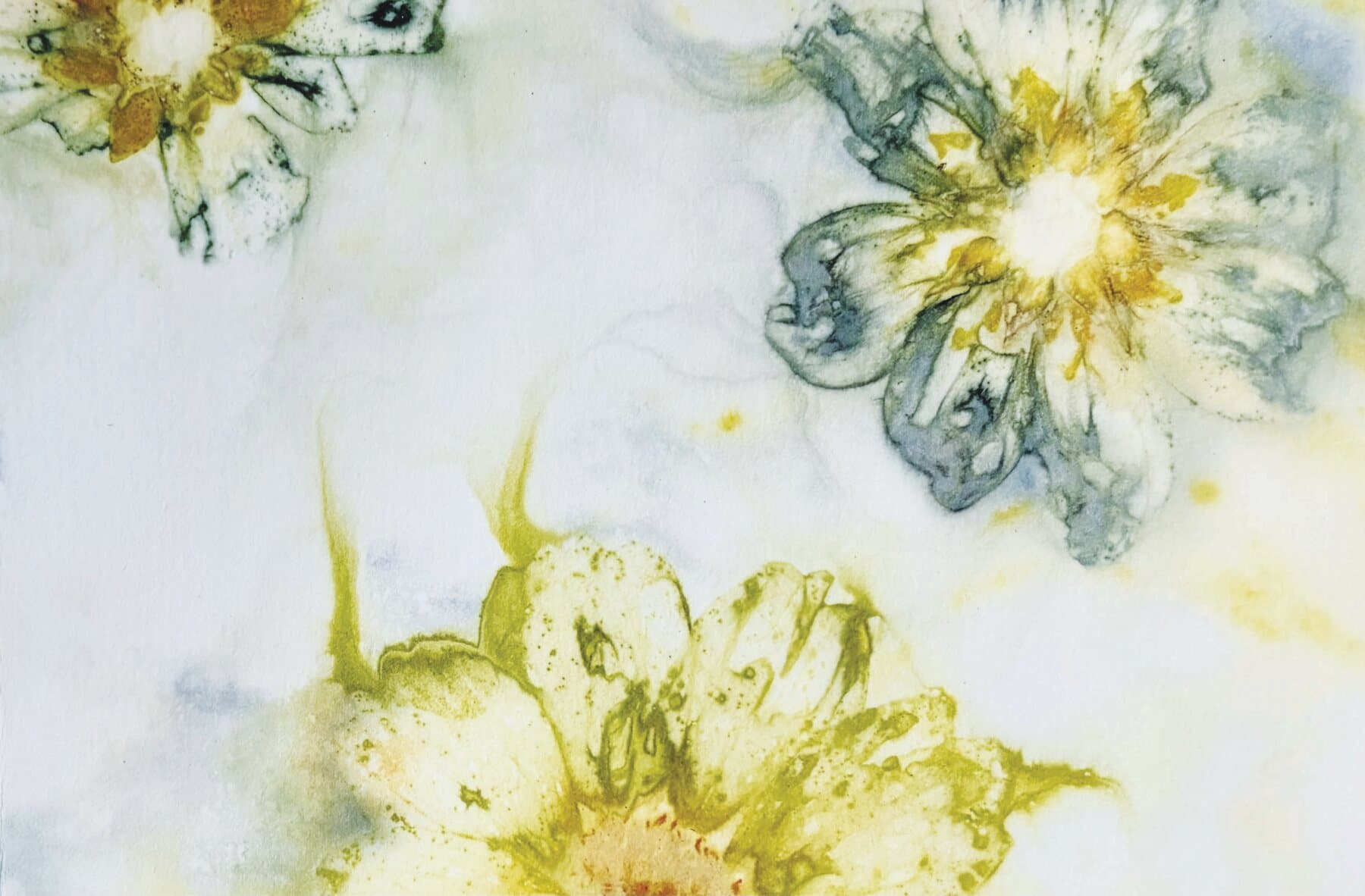Faszination Ecoprinting – Anita Bussaglia